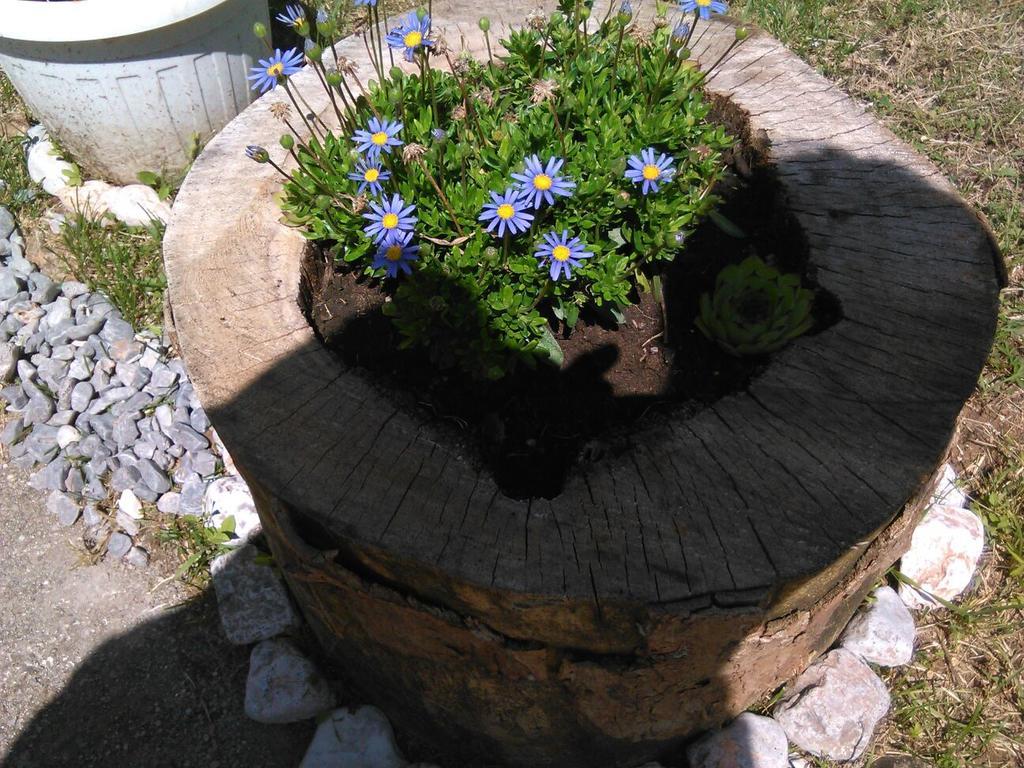 Apartman Duba Senj  Esterno foto